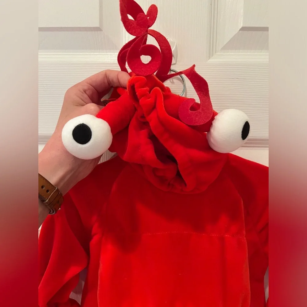 Lobster 🦞 Costume for Halloween